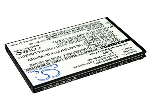 Batteria agli ioni - di, litio